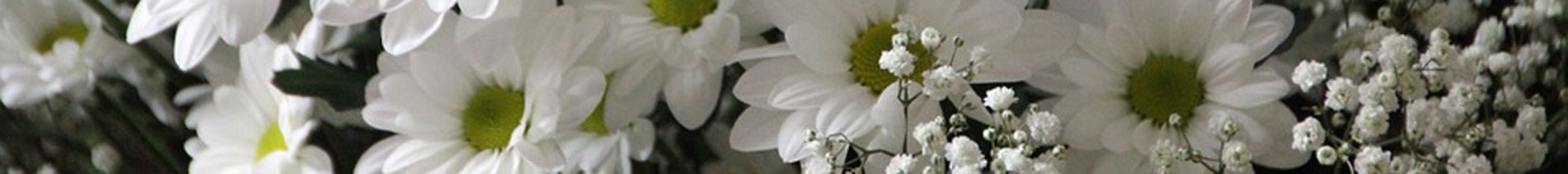 funeral flowers banner